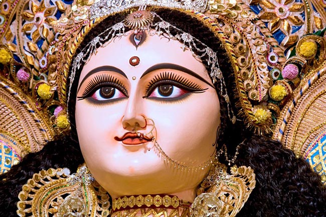 औषधियों गुणों से भरपूर नवदुर्गा